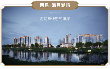 年度盘点 | 正黄的产品观解构